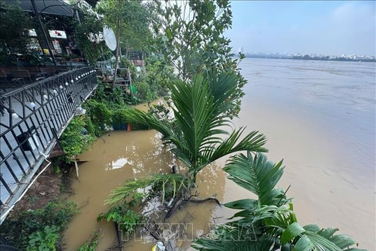 Nước sông Hồng lên mức báo động 1, nhiều sông vượt báo động 3