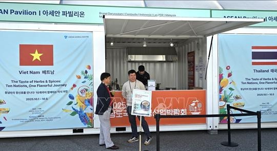 Ẩm thực Việt Nam và ASEAN tỏa sáng tại Triển lãm Ẩm thực Quốc tế ở Hàn Quốc