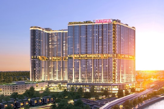 Dùng 92 tài khoản chứng khoán để thao túng cổ phiếu AGG