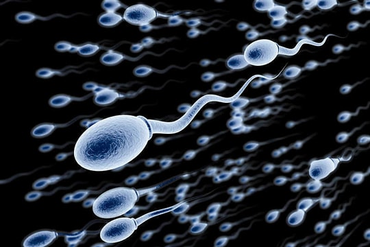 Có còn cơ hội làm cha sau triệt sản?