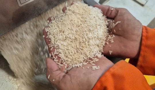 Việt Nam nhập gạo nhiều thứ 2 thế giới