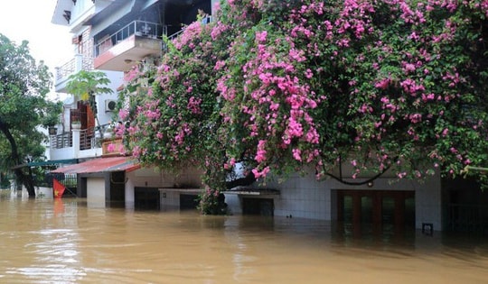 Lào Cai: Ngừng các tour du lịch đến Sa Pa, Y Tý và vùng nguy cơ lũ quét