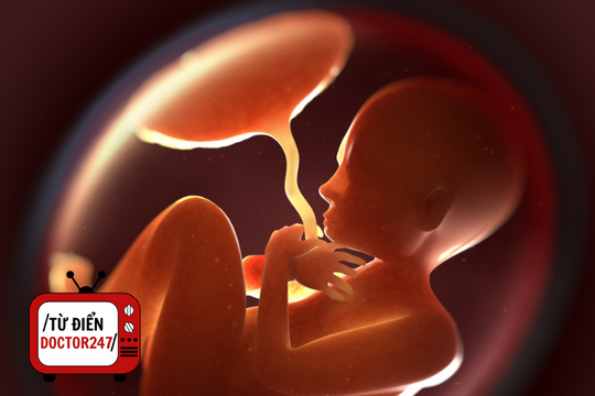 Y học bào thai là gì? Vì sao nó có thể thay đổi tương lai trẻ em?