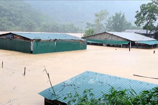 Đại học chi gần 7 tỷ đồng hỗ trợ 3.000 sinh viên vùng bão số 10