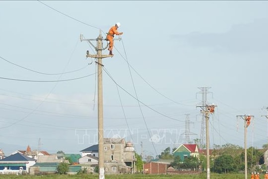 Điện lực miền Bắc yêu cầu lập đội xung kích sẵn sàng cơ động ứng phó bão số 11