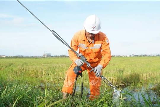 Chạy đua khôi phục điện sau bão số 10 - Bài cuối