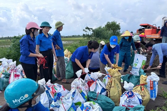 Trung ương Đoàn Thanh niên phát động chương trình ủng hộ đồng bào bị thiệt hại do bão số 10