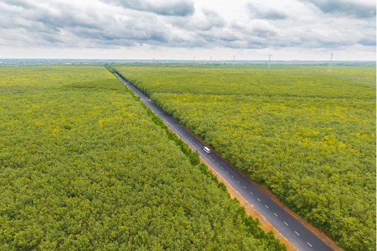 Ngắm cung đường Hồ Chí Minh nhìn từ trên cao