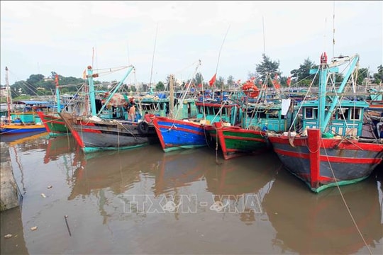 Hải Phòng: Đảm bảo an toàn đê điều, chủ động ứng phó bão MATMO