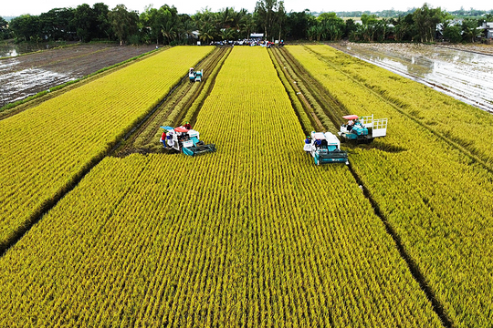 Đề xuất cá nhân, hộ kinh doanh được giảm 2% lãi suất khi vay vốn xanh