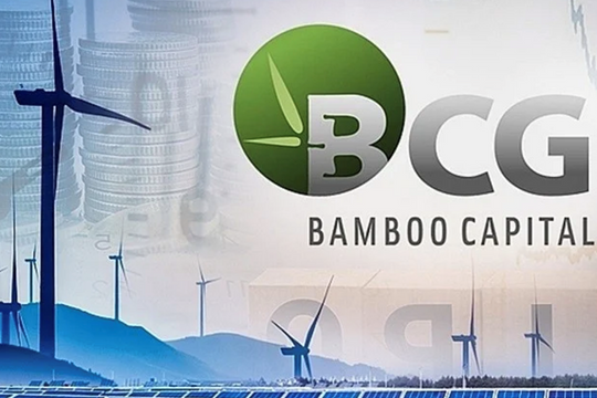Bamboo Capital: Cổ phiếu bị đình chỉ giao dịch là ngoài ý muốn