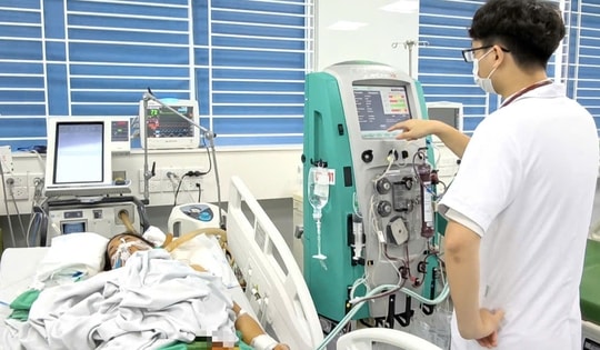 Nữ công nhân nguy kịch vì nhiễm xoắn khuẩn vàng da sau mưa lũ