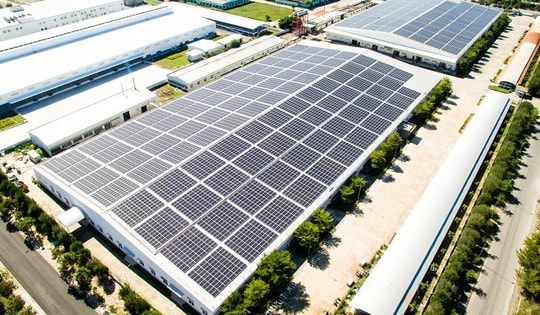 Bamboo Capital và Tracodi xin lỗi cổ đông khi cổ phiếu bị đình chỉ