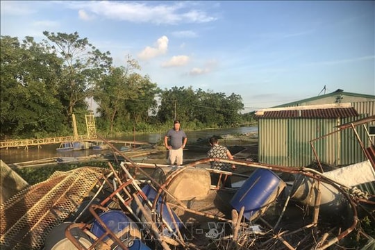 Nước lũ dâng cao, người nuôi cá lồng ở Hải Phòng đối mặt nguy cơ mất trắng