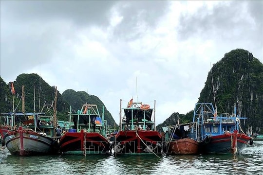 Ứng phó bão số 11: Các địa phương gấp rút kiểm đếm tàu thuyền, bảo vệ đê điều và sản xuất