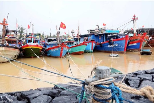 Quảng Ninh tạm ngừng cấp phép thăm quan, lưu trú trên biển từ sáng 5/10