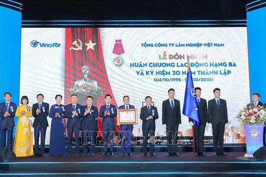 Phát triển VINAFOR trở thành tập đoàn lâm nghiệp quy mô lớn