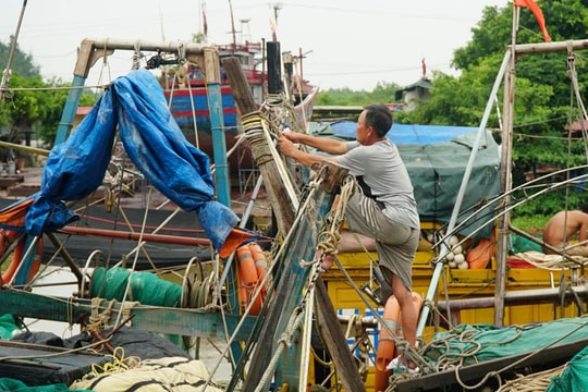 Cấm biển phòng bão Matmo