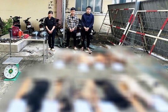 Chủ lò mổ ở TP HCM bị bắt vì đặt hàng trộm chó