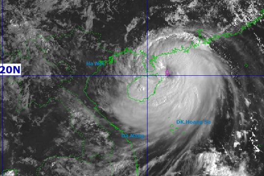 Dự báo, sáng 6/10, bão số 11 giảm cấp trên khu vực giữa Quảng Ninh và Quảng Tây