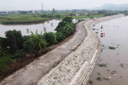 Ứng phó bão số 11: Hải Phòng trực 24/24 giờ, sẵn sàng bảo vệ hệ thống đê điều