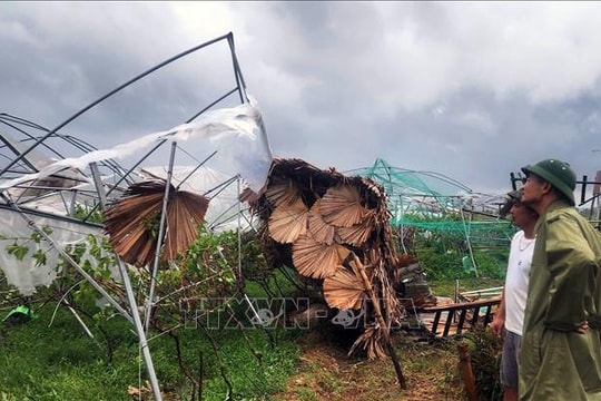 Dự báo, đêm 5/10, bão số 11 trên vùng biển Quảng Ninh với sức gió rất mạnh