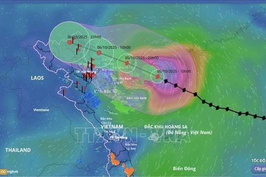 Lai Châu lên phương án ứng phó với mưa lớn, sạt lở đất, lũ ống, lũ quét