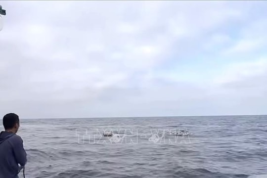 Tàu cá bị tông chìm trên biển: 10 thuyền viên được cứu, thuyền trưởng vẫn mất tích