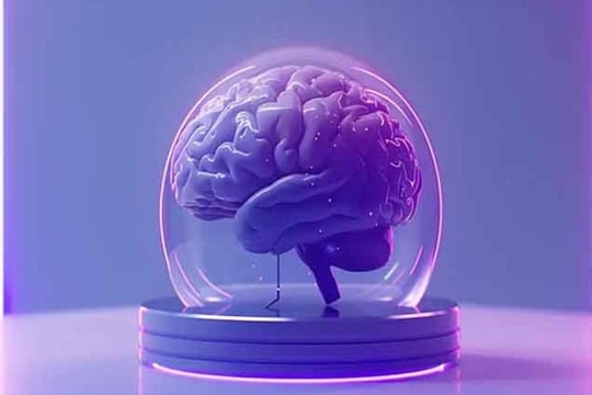 Phòng thí nghiệm nuôi não mini để vận hành máy tính