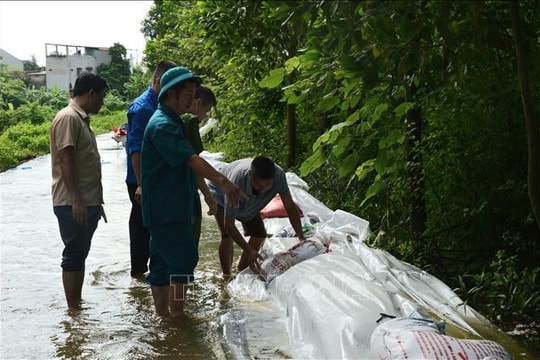 Bắc Ninh: Tuần tra, canh gác bảo vệ đê điều theo cấp báo động