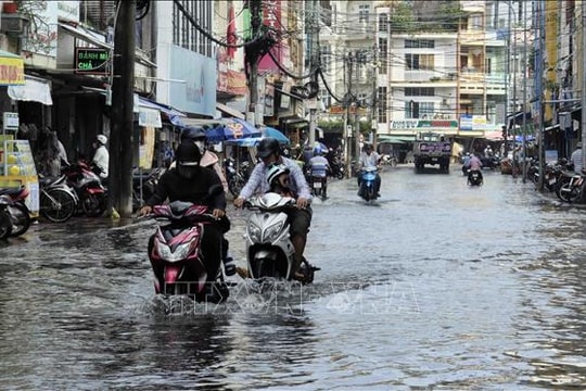 Cà Mau chủ động ứng phó triều cường vượt báo động III