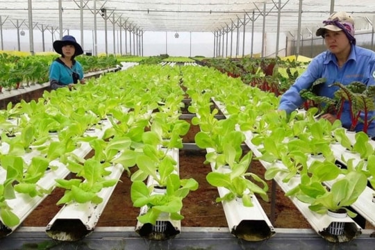 Chuyển đổi số trong xây dựng nông thôn mới ở Nghệ An