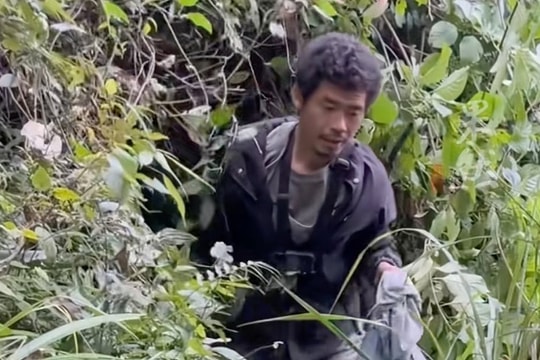 Người đàn ông 70 ngày sinh tồn trong rừng sâu