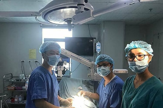 Chủ động triệt sản