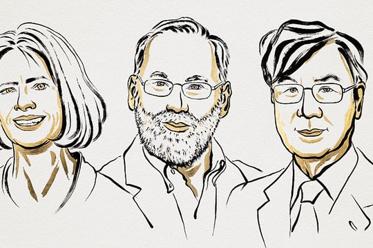 Nghiên cứu về miễn dịch đoạt giải Nobel Y sinh 2025