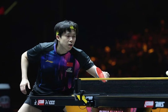 Wang Chuqin vô địch giải 'Grand Slam bóng bàn' lớn nhất