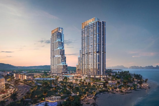 BIM Land phát triển tháp đôi Aria Bay tại Hạ Long