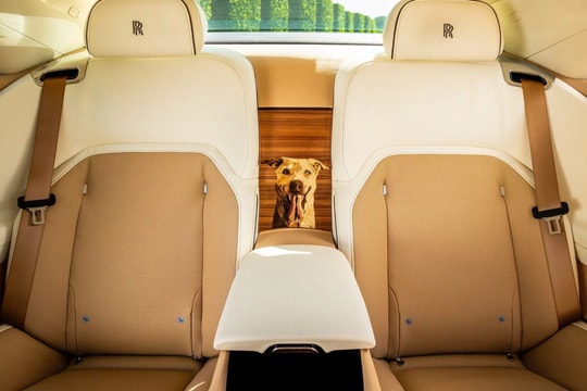Xe Rolls-Royce độc nhất có ảnh chân dung chó cưng
