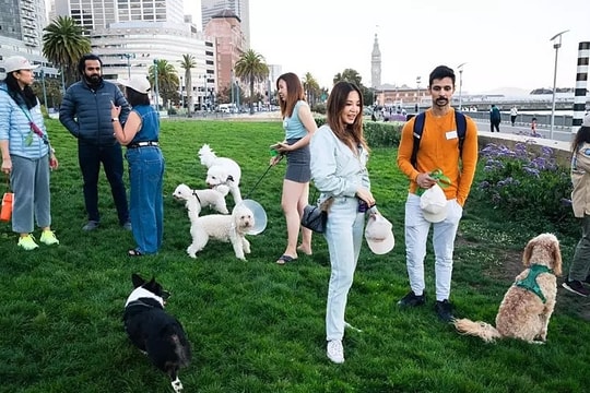 Người San Francisco ngán ngẩm vì bị chó làm phiền ở nơi công cộng
