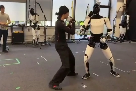 Robot hình người Tesla đấu võ với người thật