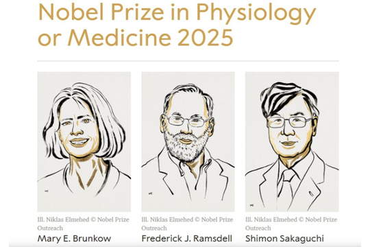 Kết quả Nobel Y Sinh 2025 thuộc về ba nhà khoa học