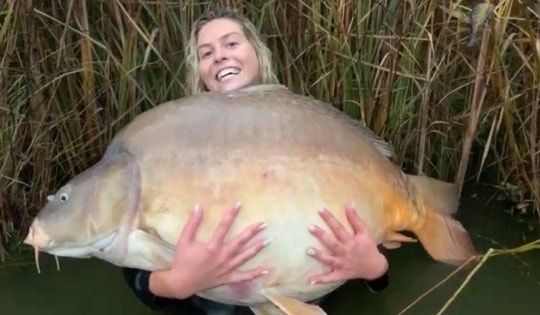 Đi câu cá "giải sầu", người phụ nữ cần thủ câu được con cá chép "khổng lồ"