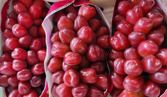 Loại nho mới của Trung Quốc đổ bộ chợ Việt, giá đắt gấp 10 hàng "quý tộc"