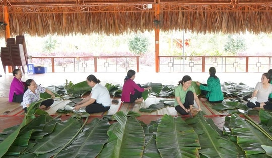 Cần Thơ: Nấu chiếc bánh chưng nặng gần 1,6 tấn làm lễ Giỗ tổ Hùng Vương