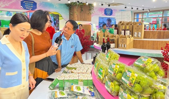 Đặc sản Ninh Thuận “đổ bộ” TP HCM: Từ rong nho, yến sào đến nho táo VietGAP