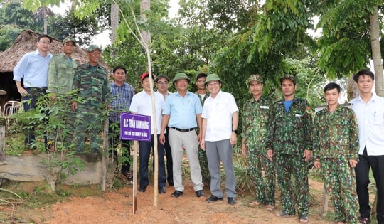 Đà Nẵng phấn đấu làm xong Quốc lộ 14D hơn 4.500 tỉ trong năm 2027