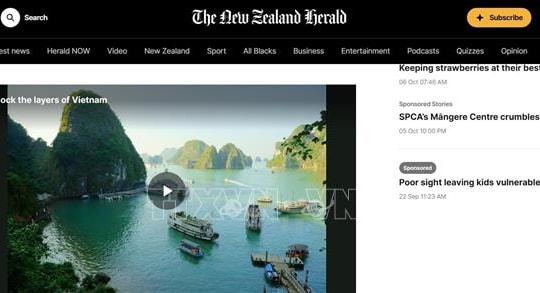 Vẻ đẹp của Việt Nam mang đến những trải nghiệm ấn tượng cho du khách quốc tế