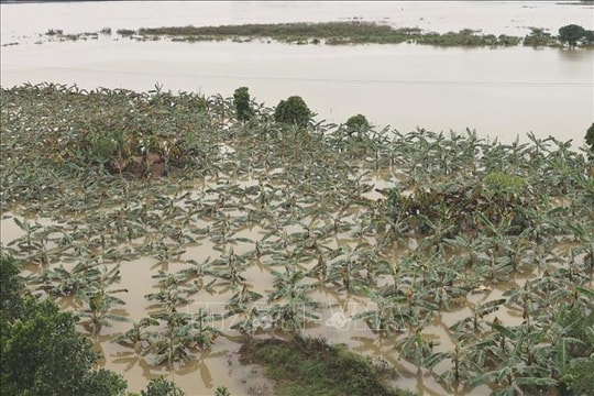 Bắc Bộ và Bắc Trung Bộ huy động gần 280 trạm bơm tiêu úng