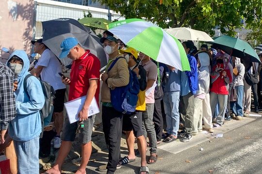 Hàng trăm người xếp hàng từ đêm để nộp hồ sơ mua nhà ở xã hội