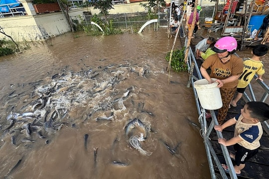 Chuyên gia: 'Khó nhân rộng nông nghiệp sinh thái ở Việt Nam'